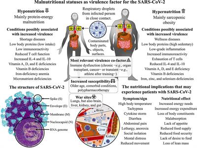 Frontiers | The Malnutritional Status of the Host as a Virulence Factor ...