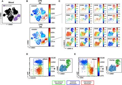 Frontiers | Revising CX3CR1 Expression on Murine Classical and Non ...