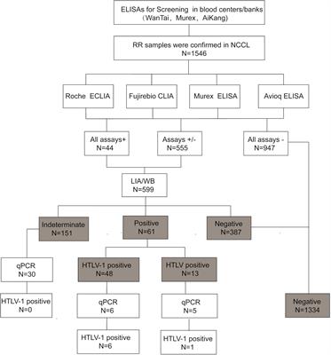 Frontiers A Strategy For Screening And Confirmation Of Htlv 1 2 Infections In Low Endemic Areas Microbiology