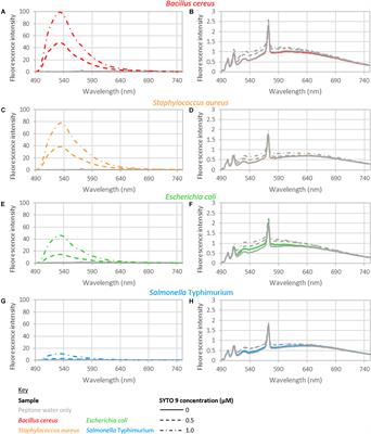 Frontiers Species Dependence Of Syto 9 Staining Of Bacteria Microbiology