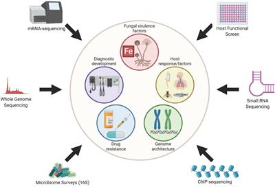 Frontiers | Understanding Mucormycoses in the Age of “omics”