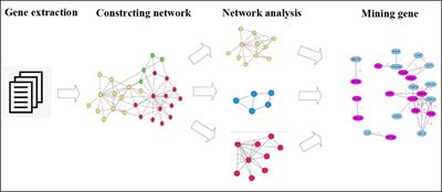 Frontiers | Treating Different Diseases With the Same Method—A ...