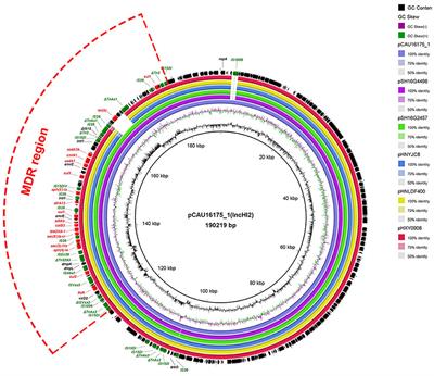 Frontiers | Genome Characterization of mcr-1–Positive Escherichia coli ...