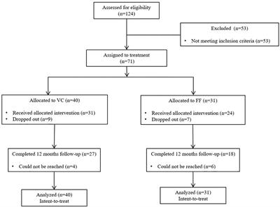 Frontiers | Videoconferencing Psychotherapy for Panic Disorder and ...