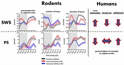 Frontiers | Cannabinoids, Endocannabinoids and Sleep