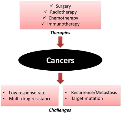 Frontiers  Repositioning Lidocaine as an Anticancer Drug: The