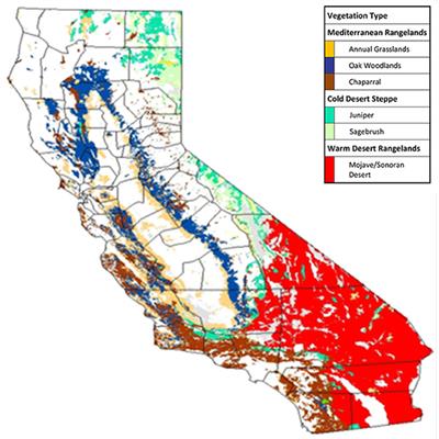 Frontiers | Livestock Mobility Through Integrated Beef Production ...