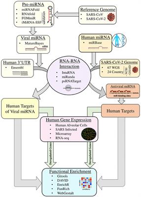 Frontiers | Epigenetic Regulator miRNA Pattern Differences Among SARS ...