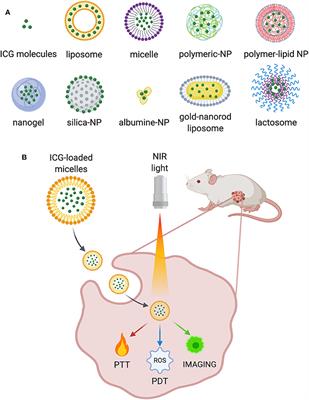 Frontiers Indocyanine Green Nanoparticles Are They Compelling For Cancer Treatment Chemistry