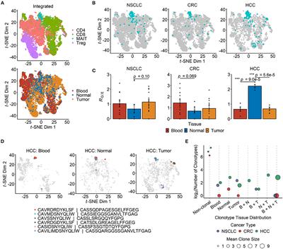 Frontiers Leveraging Public Single Cell And Bulk Transcriptomic Datasets To Delineate Mait Cell Roles And Phenotypic Characteristics In Human Malignancies