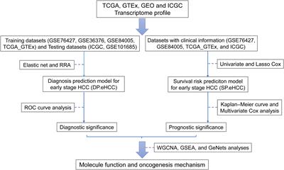 Frontiers | Identification of Gene Signatures for Diagnosis and ...