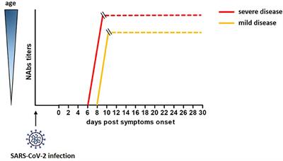 Frontiers | Humoral Immune Responses in COVID-19 Patients: A Window on ...