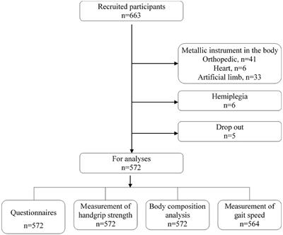 Frontiers Current Status Of Sarcopenia In The Disabled Elderly Of Chinese Communities In Shanghai Based On The Updated Ewgsop Consensus For Sarcopenia Medicine