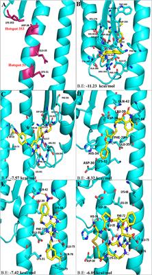 Frontiers | Identification of SARS-CoV-2 Cell Entry Inhibitors by Drug ...