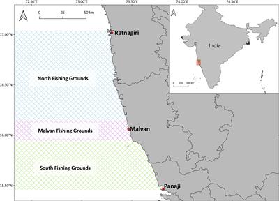 Frontiers  Mitigation of Elasmobranch Bycatch in Trawlers: A Case Study in Indian  Fisheries