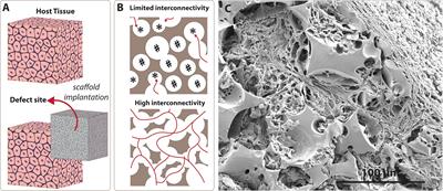 Emulsion Templating: Porous Polymers and Beyond