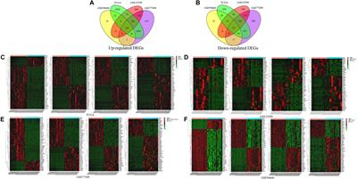 Ijms Free Full Text Novel Biomarkers Of Hepatitis B And