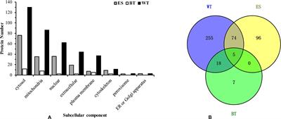 Frontiers Identification And Analysis Of The Tegument Protein And Excretory Secretory Products Of The Carcinogenic Liver Fluke Clonorchis Sinensis Microbiology