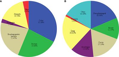 Frontiers | Neglected, Drug-Induced Platinum Accumulation Causes Immune ...