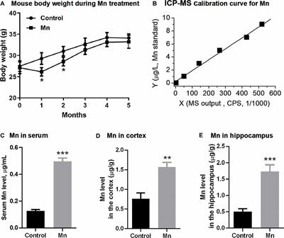 Frontiers Manganese Exposure Aggravates B Amyloid Pathology By Microglial Activation Frontiers In Aging Neuroscience