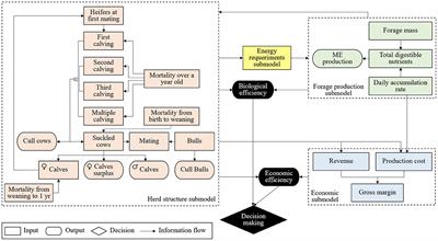 Weaning Decisions to Maximize Cow/Calf Revenues