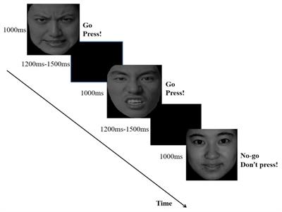 Frontiers | Reactive Aggression Affects Response Inhibition to Angry ...