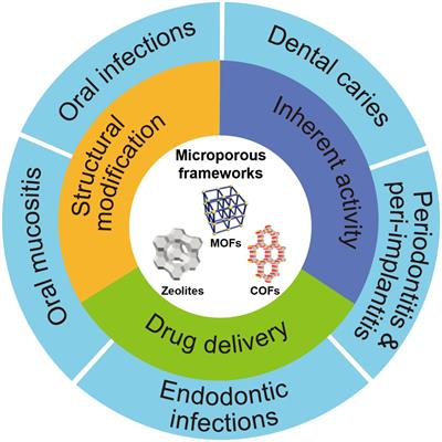 Frontiers | Microporous Frameworks as Promising Platforms for ...