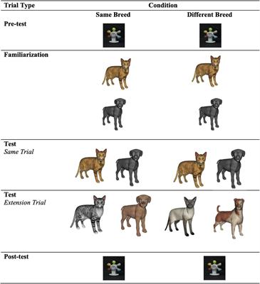 what animals are in the same family as dogs