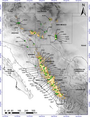 Frontiers Morphological Differences In Pinus Strobiformis Across Latitudinal And Elevational Gradients Plant Science