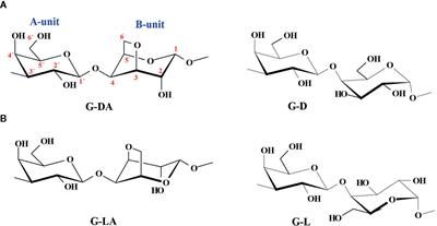 Frontiers  Carrageenan From Kappaphycus alvarezii (Rhodophyta,  Solieriaceae): Metabolism, Structure, Production, and Application