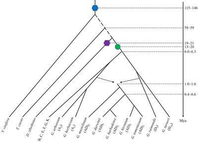 Frontiers | Sequencing Multiple Cotton Genomes Reveals Complex ...