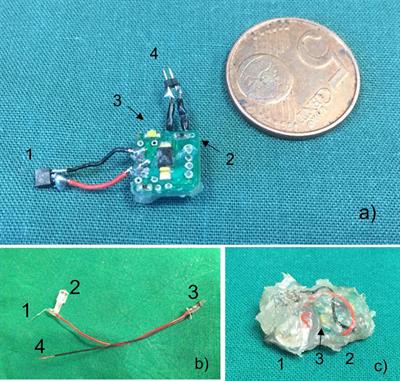 Frontiers | Development of a Fully Implantable Stimulator for Deep ...