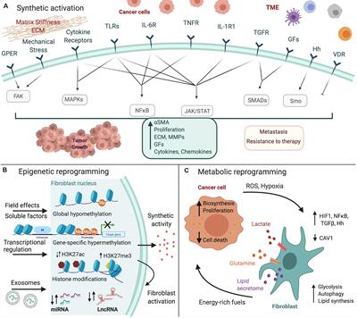 Frontiers | Fibroblast Reprogramming in Gastrointestinal Cancer