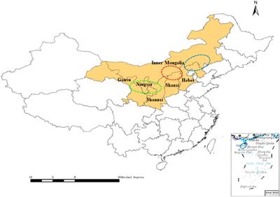 Frontiers | Quality Control of Radix Astragali (The Root of Astragalus ...