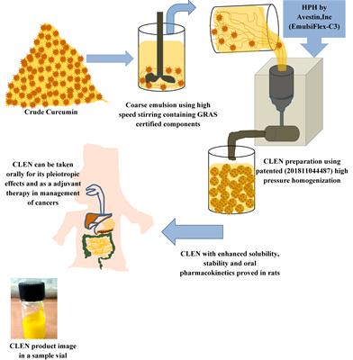 Frontiers | Enhancing Bioavailability and Stability of Curcumin Using ...