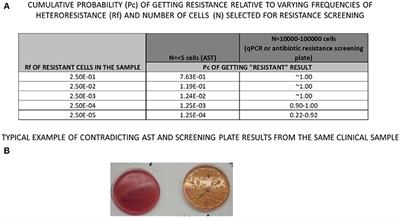 Morphision test. (a) Plate 1 includes a modified Amsler chart