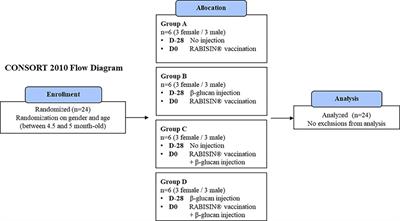 Frontiers B Glucan As Trained Immunity Based Adjuvants For Rabies Vaccines In Dogs Immunology