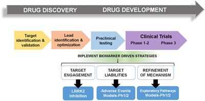 Frontiers | Pharmacodynamic Biomarkers for Emerging LRRK2 Therapeutics