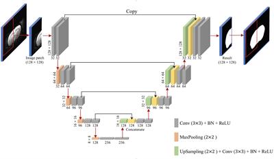 Frontiers  Automated Skull Stripping in Mouse Functional Magnetic  Resonance Imaging Analysis Using 3D U-Net