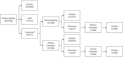 Frontiers | Minimally-Invasive Surgical Approach to Congenital ...