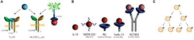 Frontiers | Interleukin 15 Pharmacokinetics and Consumption by a ...