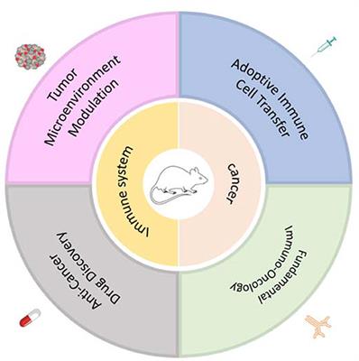 Frontiers  Syrian hamster as an ideal animal model for evaluation of  cancer immunotherapy