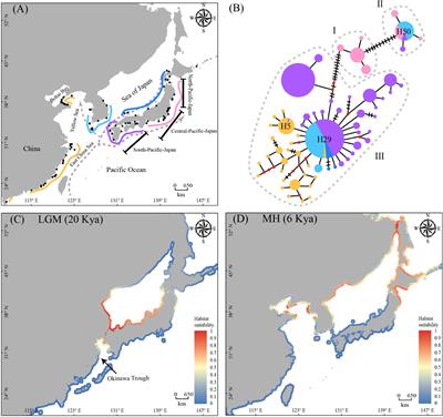 Frontiers | Climate-Driven Range Shifts of Brown Seaweed Sargassum ...