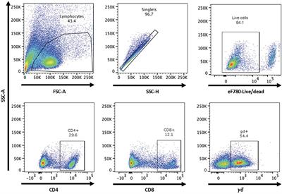 Frontiers | Enhancing the Detection of Brucella-Specific CD4+ T Cell ...