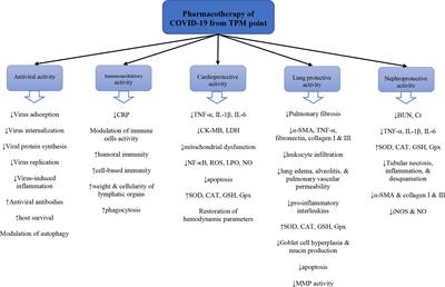 Frontiers  An Evaluation of Traditional Persian Medicine for the  Management of SARS-CoV-2