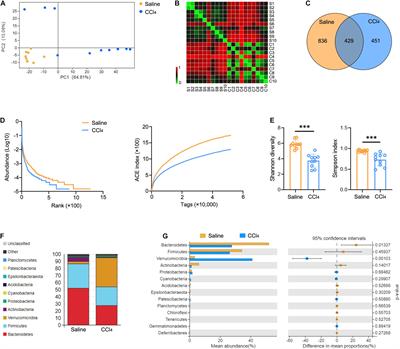 immune repertoire capture