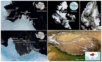 Frontiers | Soil Microbiomes With the Genetic Capacity for Atmospheric ...