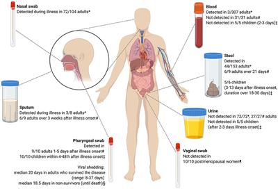 Frontiers Coronavirus Disease 19 An Interim Evidence Synthesis Of The World Association For Infectious Diseases And Immunological Disorders Waidid Medicine