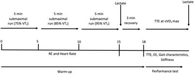 The impact of speed on running economy