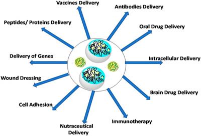 Hydrogels as Potential Nano-, Micro- and Macro-Scale Systems for